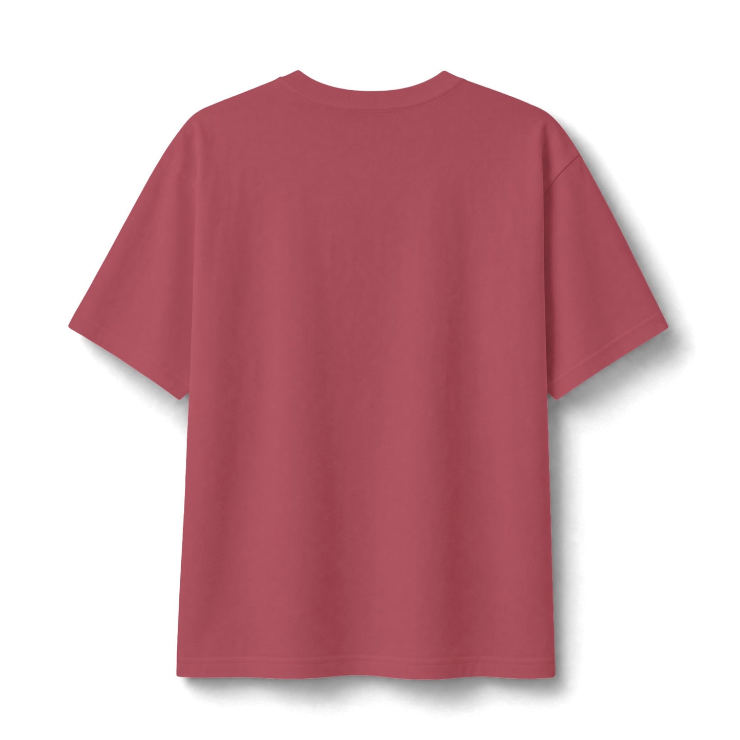 Hallelujah Psalm 146:1 Christian T-Shirt — Inspirational Faith Tee